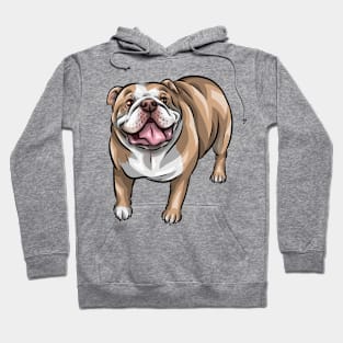 English Bulldog | Cute Dog Hoodie